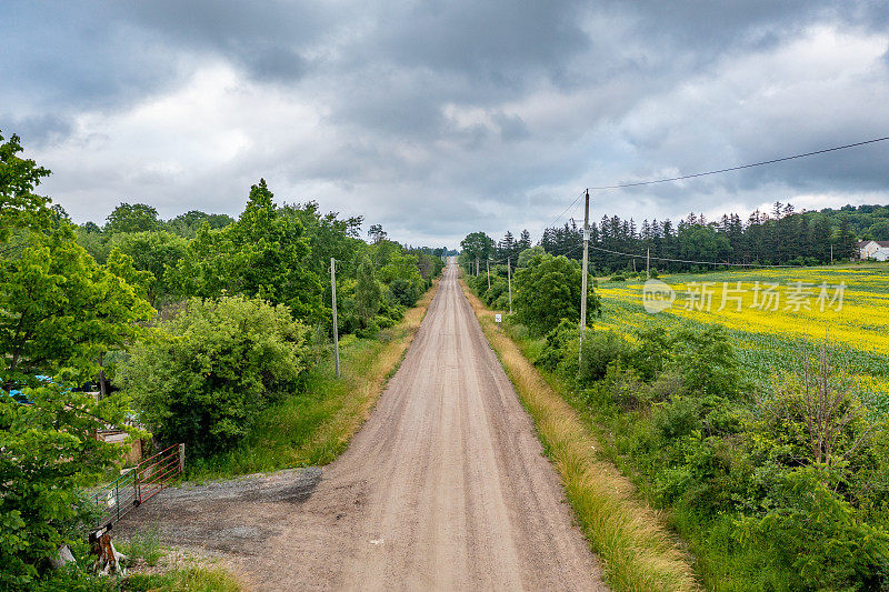 鸟瞰油菜籽田和乡村道路，Bradford West Gwillimbury，加拿大